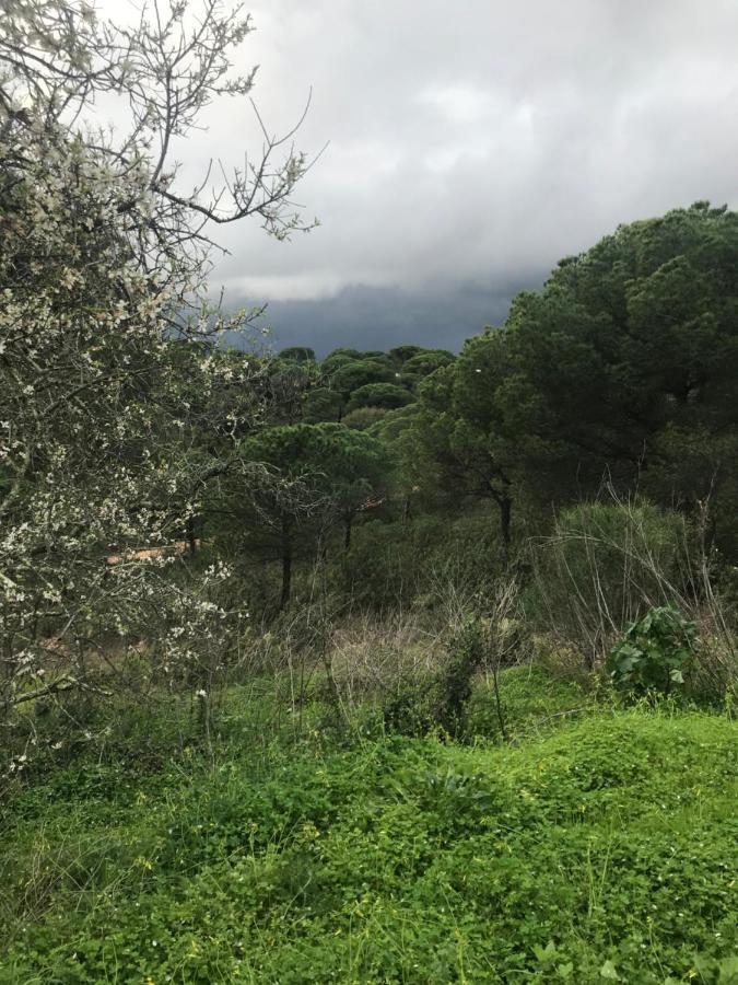 Appartement Rustica Borrachos